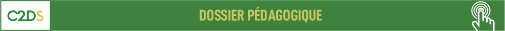 DP